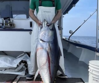 tuna-sportfishing-hyannis-cape-cod-2024