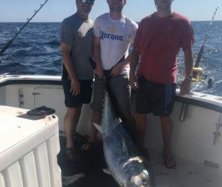 Tuna Sportfishing Cape Cod