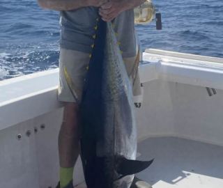 yellowfin-tuna-nantucket-sportfishing-2023