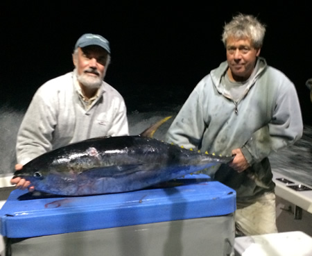 yellowfin-tuna-hyannis-sportfishing-2023