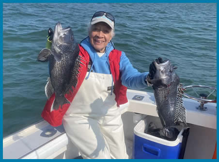 sea-bass-sportfishing-hyannis-cape-cod-2023-lady